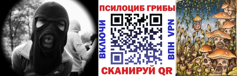 купить  сайты  Опочка  Псилоцибиновые грибы Psilocybine cubensis 